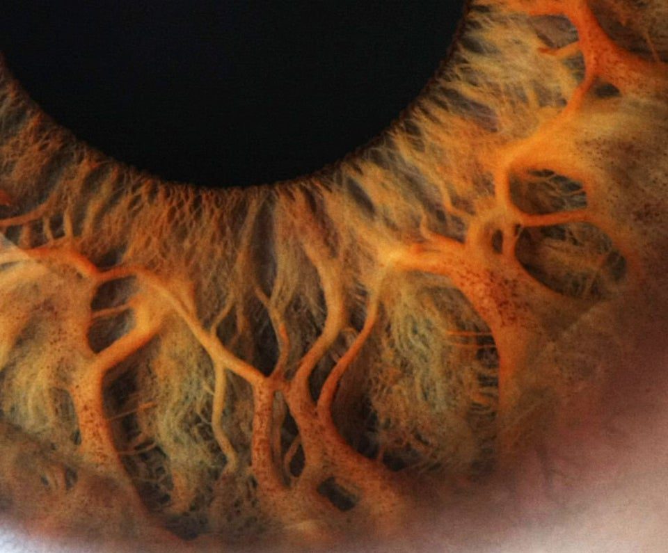 under the microscope 1-Human-eye-Reddit-by-Super-Swish_img_615adfed71367